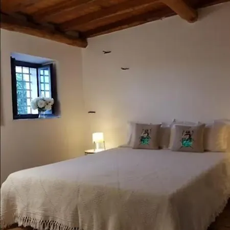 L'aranceto Aci Catena
